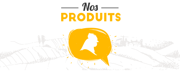 Nos Produits